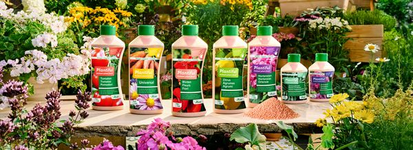 Hauert Plantiful Sortiment