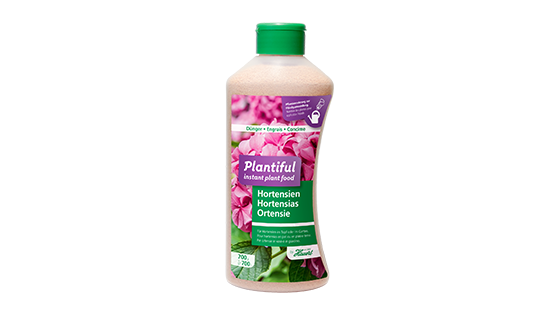 Packshot Plantiful Hortensien